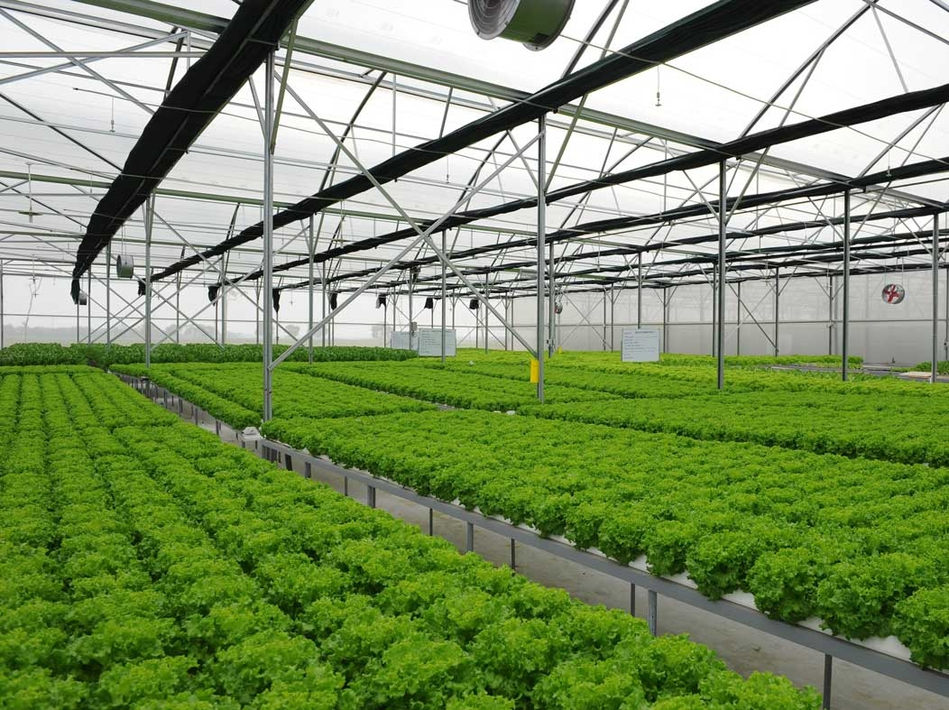 Smart Hydroponic Farm